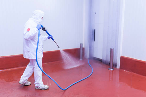 Best Pre-Holiday Cleaning  in Pleasant Hill, IA